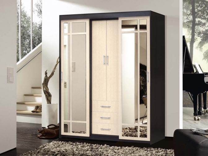 Шкаф-купе арт. 010