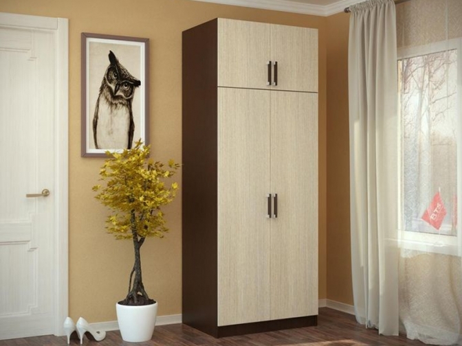 Шкаф 2-х створчатый с перегородкой (Венге/Лоредо)