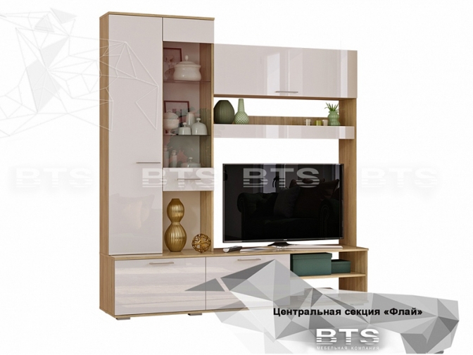 Флай Центральная секция ЦС-01